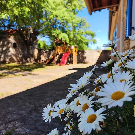 Kuca Dida Jure Villa Pridraga Exteriör bild