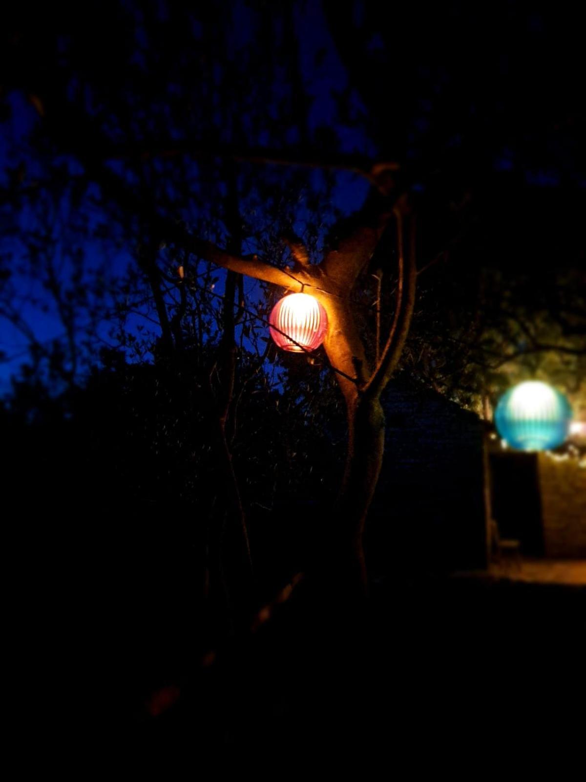 Kuca Dida Jure Villa Pridraga Exteriör bild